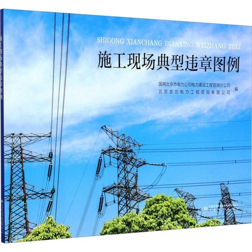 施工现场典型违章图例 国网北京市电力公司电力建设工程咨询分公司 编