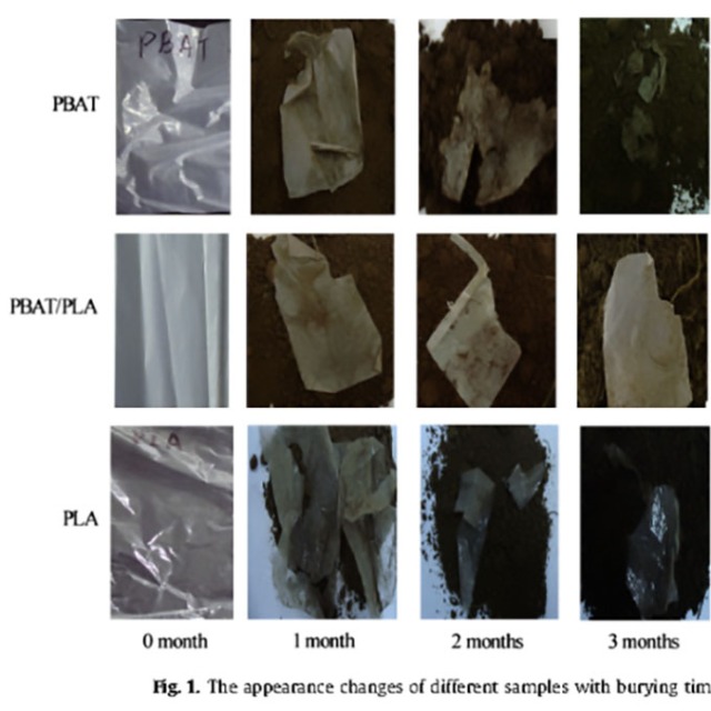 生物降解塑料在土壤里可以完全降解吗？