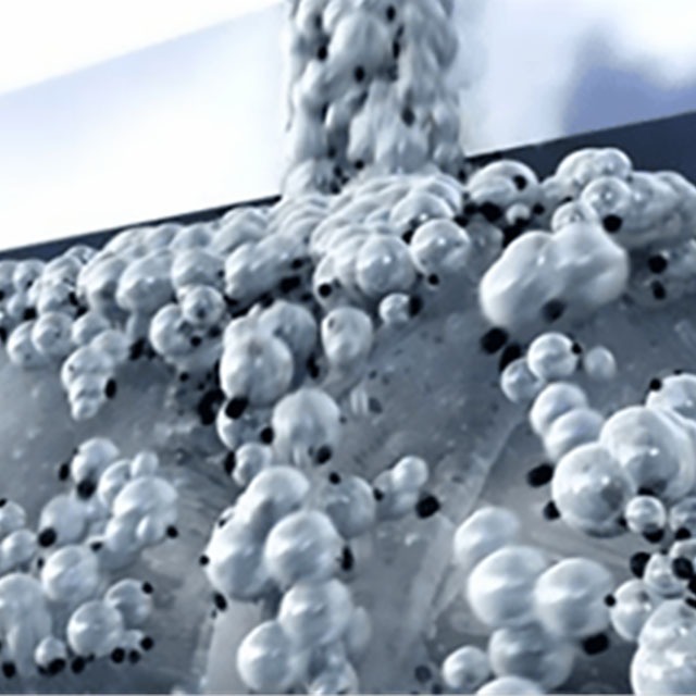 常见的PP改性方法有哪些？