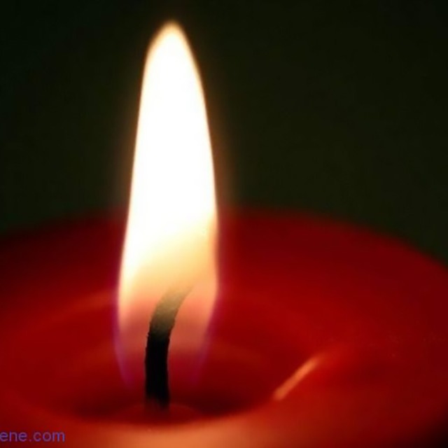 填料对阻燃PP的“灯芯效应”有什么不良影响？